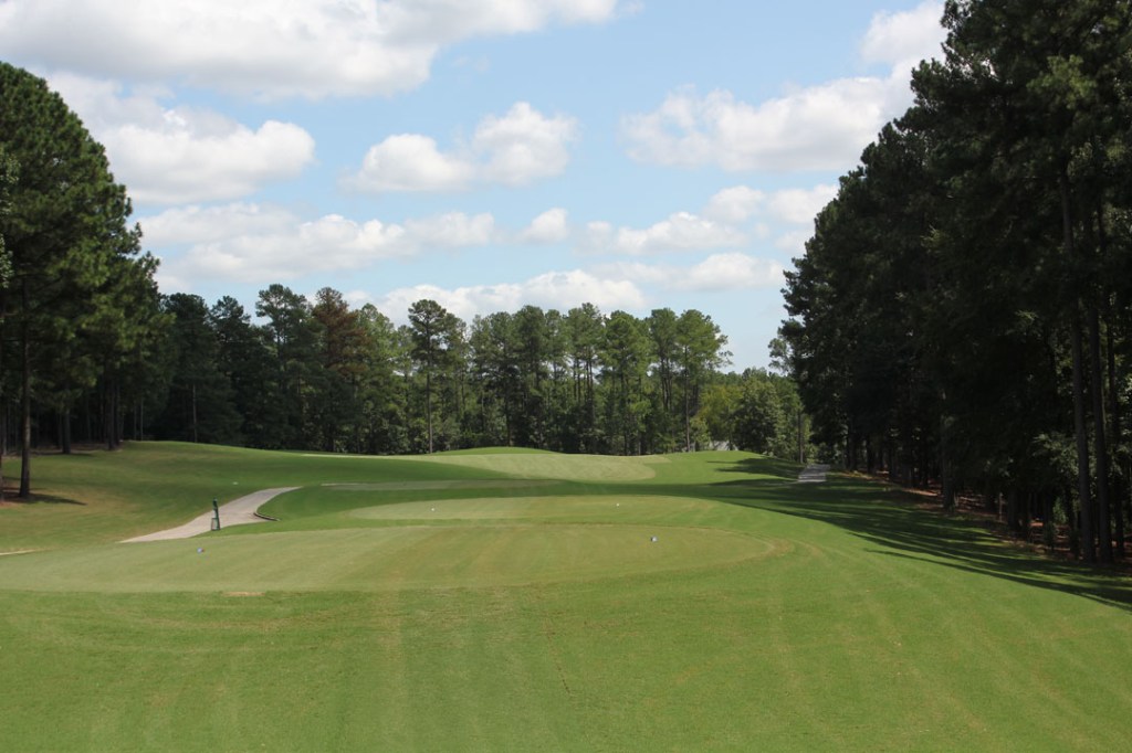 Vintage Course greens