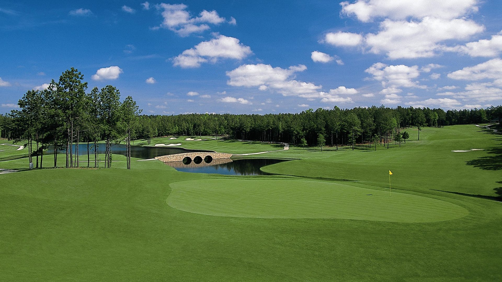 Home Mount Vintage Golf Club